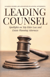 Leading Counsel Book Cover